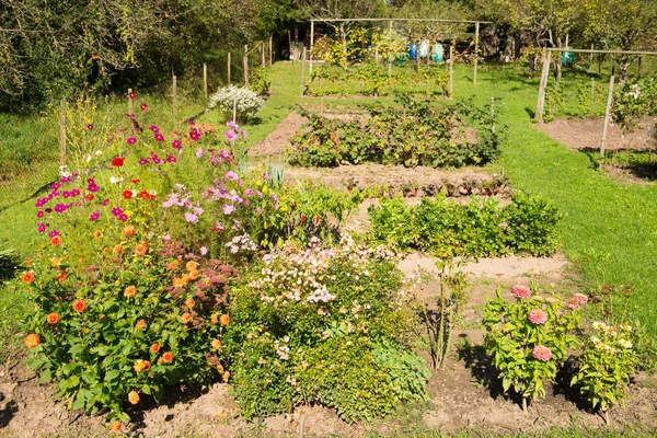 Jardin Fleuri Avec Fleurs Légumes Fruits — Photo