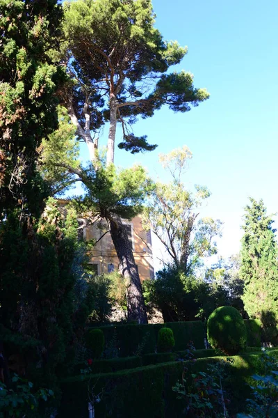 Τοίχοι Στην Valldemossa Majorca Balearic Spain — Φωτογραφία Αρχείου