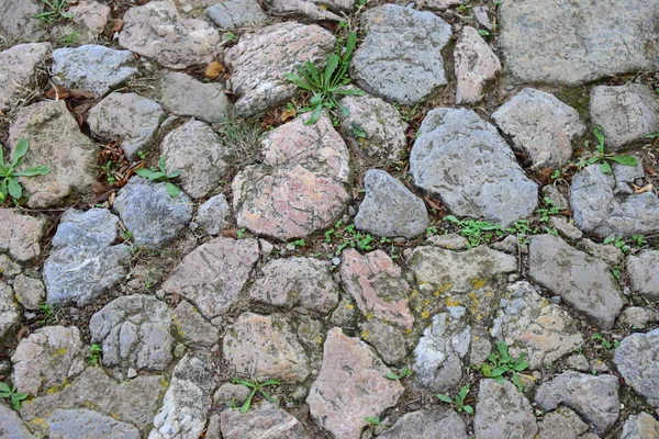 Paving Stones Surface Cobblestone — Stock Photo, Image