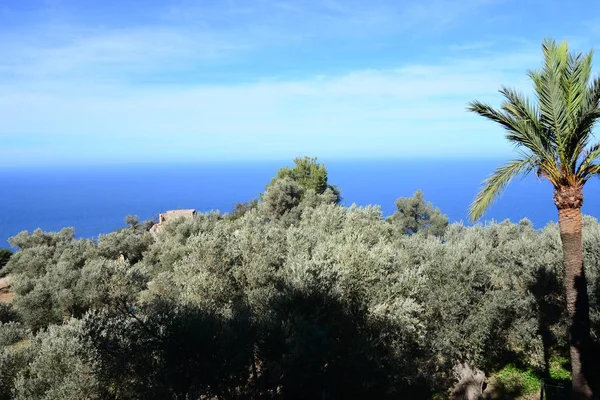 Palác Residencia Miramar Mallorca Španělsko Bývalí Majitelé Rakouský Arcivévoda Ludwig — Stock fotografie