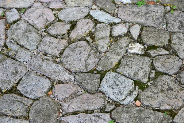 Paving Stones Surface Cobblestone — Stock Photo, Image