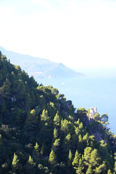 Palast Residencia Miramar Mallorca Spanien Vorbesitzer Der Österreichische Erzherzog Ludwig — Stockfoto