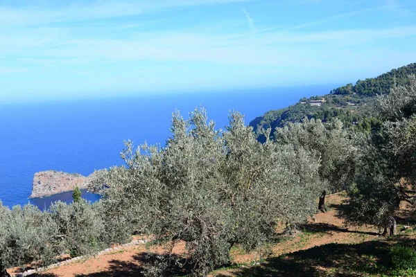 말로카 Mallorca Peninsula — 스톡 사진