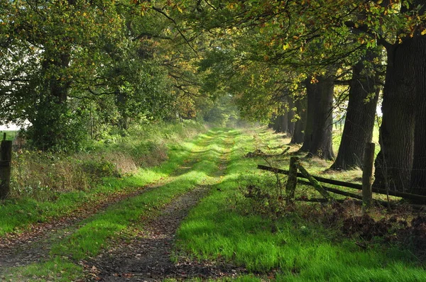 Schöne Aussicht Auf Die Natur — Stockfoto