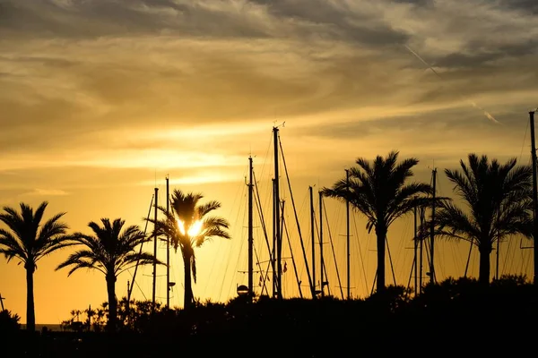 Puesta Sol Puerto Palma Mallorca Arenal Dolor — Foto de Stock