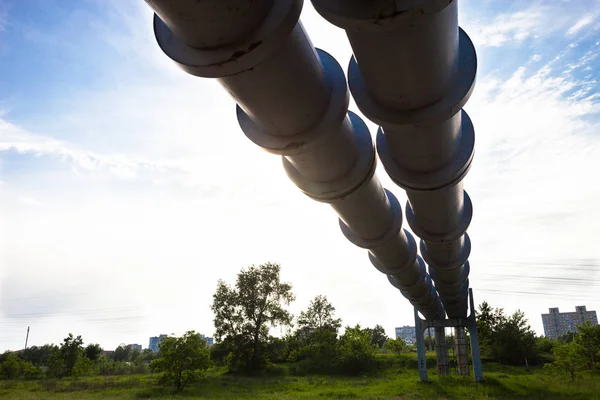 Elevated Section Pipelines Sky — Stock Photo, Image