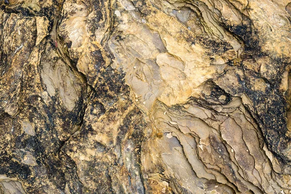 Laminierte Felsoberfläche Aus Dem Flussbett Des Gebirgsflusses — Stockfoto
