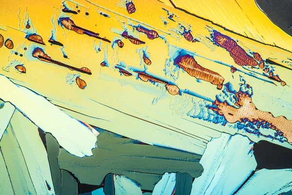 Κρύσταλλοι Πολωμένο Φως Μικροσκοπική Κυτταρική Υφή — Φωτογραφία Αρχείου