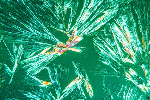 Kristalle Polarisiertem Licht Mikroskopische Zellstruktur — Stockfoto