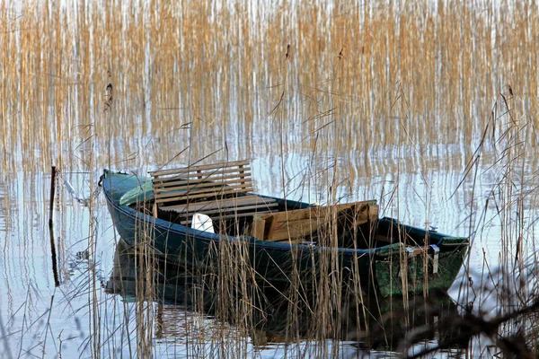 Rowing Boat Reed Belt — Stock Photo, Image