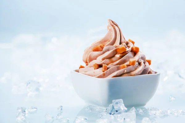 Yogurt Congelado Baja Grasa Polvo Delicioso Twirl Small White Bowl — Foto de Stock