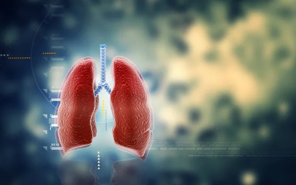 Digital Illustration Human Lungs Colour Background — Stock Photo, Image