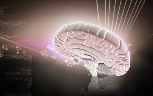 Цифрова Ілюстрація Мозку Кольоровому Фоні — стокове фото