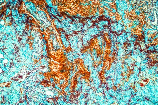 Mikroskopická Textura Buněk Abstraktní Pozadí — Stock fotografie
