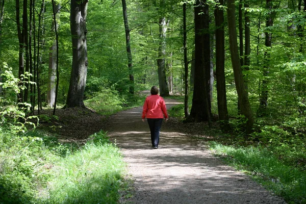 Away Forest Walk Woman Hike Alone Solo Lonely Loneliness Forest —  Fotos de Stock