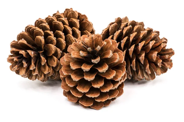 Pine Cones Close Pin Decoration White Background Stock Image