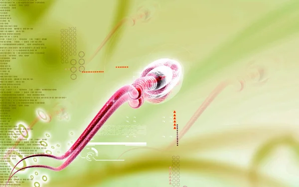 色の背景の精子のデジタルイラスト — ストック写真