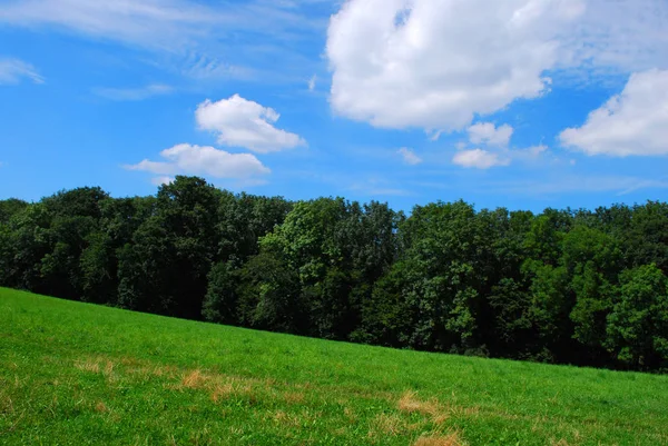 Wiese Wald Und Himmel — Stockfoto