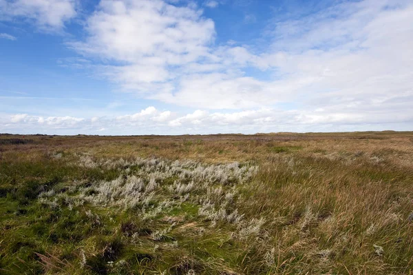 Vacker Utsikt Över Naturen — Stockfoto