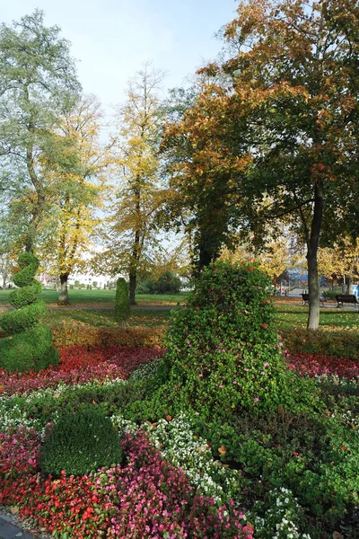 Parque Miedzyzdroje Miedzyzdroje — Foto de Stock