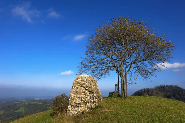 Landsliv Selektivt Fokus — Stockfoto