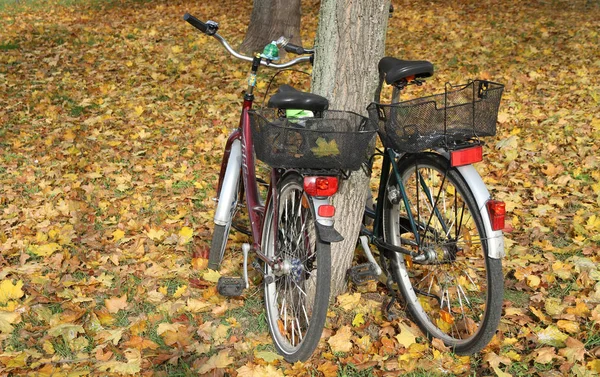 Uma Bicicleta Parque — Fotografia de Stock