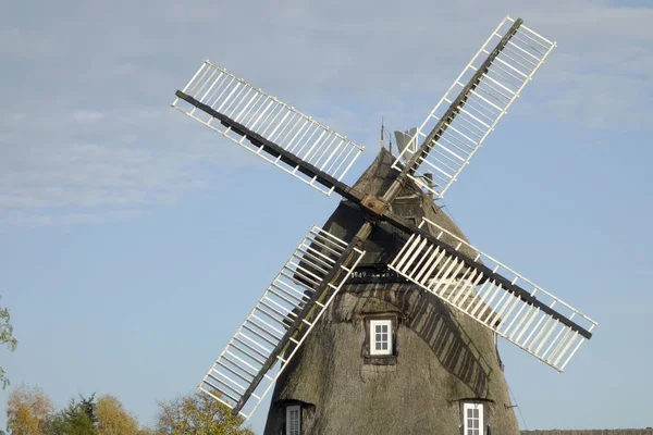 Nederländska Väderkvarnen Mecklenburg — Stockfoto