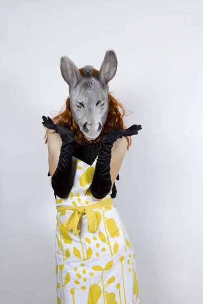 Donkey Dona Casa Vestindo Avental Sobre Vestido Noite Luvas Noite — Fotografia de Stock