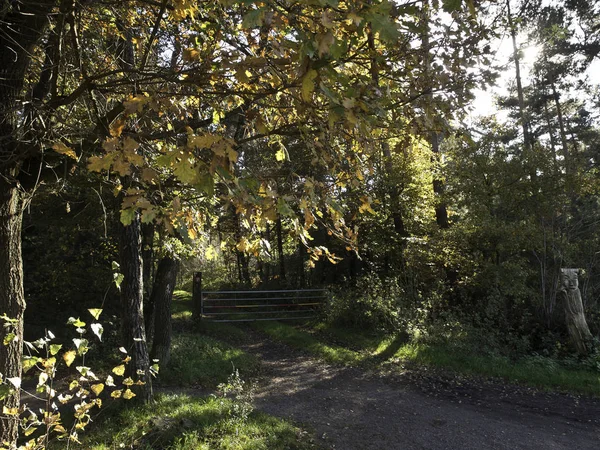 Herbstliche Atmosphäre Selektiver Fokus — Stockfoto