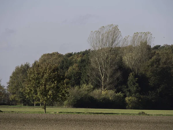 Atmosfera Autumnal Foco Seletivo — Fotografia de Stock