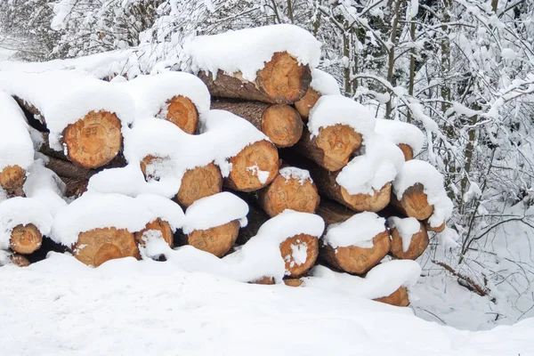 Uma Pilha Troncos Árvore Fora Inverno Coberto Com Neve — Fotografia de Stock