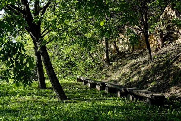Деревянные Скамейки Открытым Небом — стоковое фото