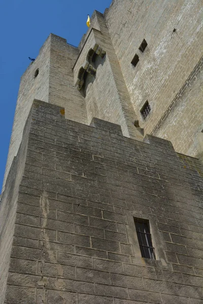 Мальовничий Вид Величну Середньовічну Архітектуру Замку — стокове фото