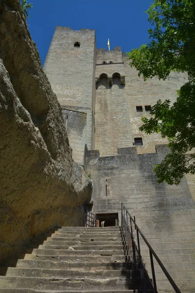 Vista Panorâmica Majestosa Arquitetura Medieval Castelo — Fotografia de Stock