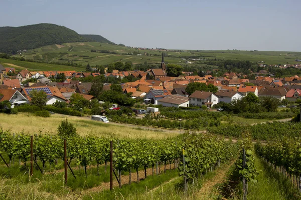 Birkweiler Der Deutschen Weinstraße — Stockfoto