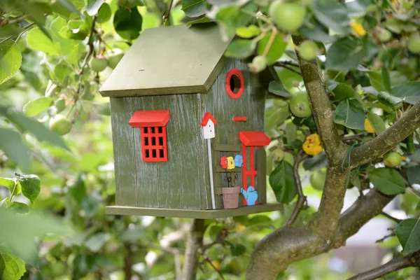 Nesting Box Bird House Bird Feeder Apple Tree Tree Colorful — Stock Photo, Image
