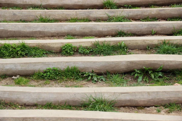 Außentreppe Aus Holz Mit Unkraut Zwischen Den Stufen — Stockfoto