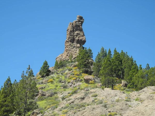 Křehké Horské Horské Horské Gran Canaria Krajina Kanárci Kanárské Ostrovy — Stock fotografie