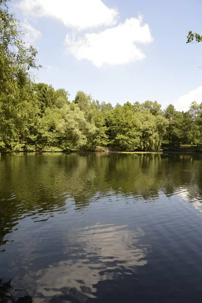 Kesselbruchweiher Frankfurt Jezioro Staw Staw Las Chodnik Natura Krajobraz Neu — Zdjęcie stockowe