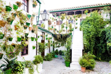 patio (courtyard), Cordoba, Andalusia, Spain clipart