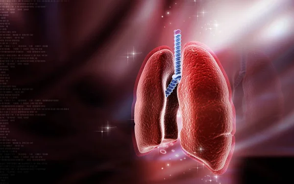 Digital Illustration Human Lungs Colour Background — Stok fotoğraf