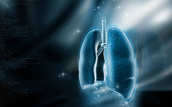 Digital Illustration Human Lungs Colour Background — Stock Photo, Image