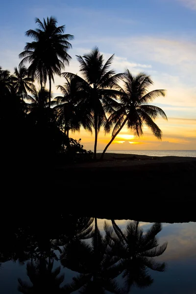 カリブ海 タートル ビーチ トバゴに沈む夕日 — ストック写真