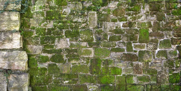Mossy Old Stone Wall — Stock Photo, Image