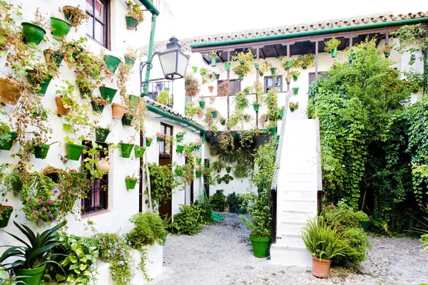 Patio Binnenplaats Cordoba Andalusië Spanje — Stockfoto