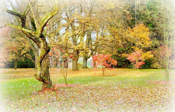 Autumn Park — Stock Photo, Image