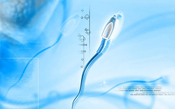 Цифровая Иллюстрация Спермы Цветном Фоне — стоковое фото