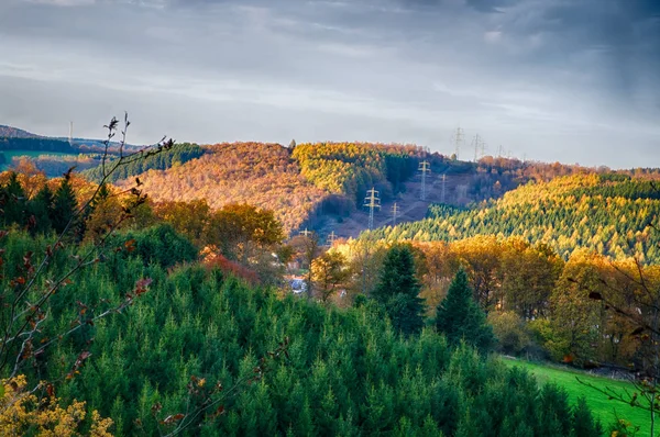 Impressões Outono Floresta — Fotografia de Stock