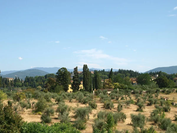 Florence Een Prachtig Uitzicht Boboli Tuinen — Stockfoto