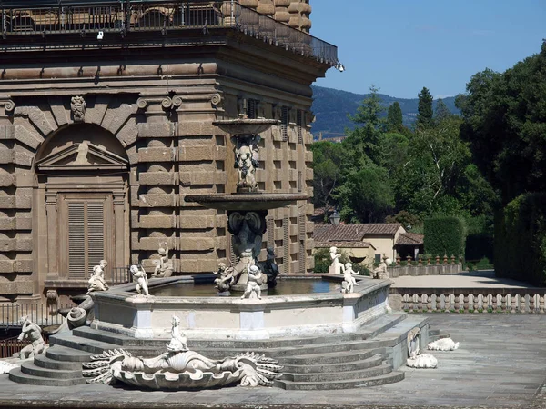 Florencia Fuente Las Inmediaciones Del Palacio Pitti — Foto de Stock